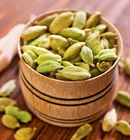 Cardamomo
