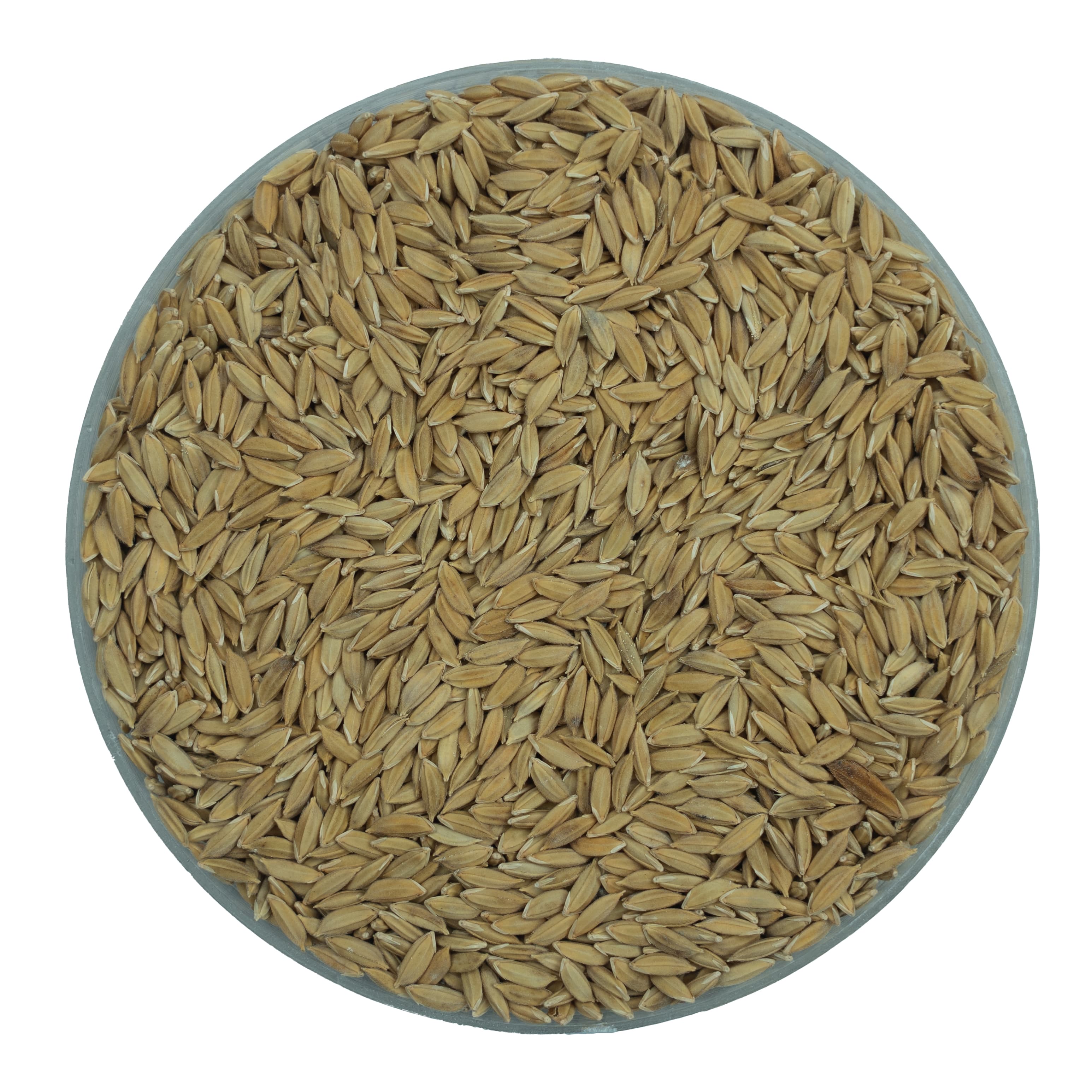 Farinha de Arroz
